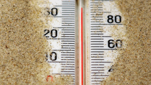 The 5-Minute Sensor Test: How to Diagnose a False High Temperature Alarm Without Tools