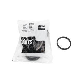 Joint torique rectangulaire Cummins 3903475 pour moteur Cummins BS3 5,9 litres B