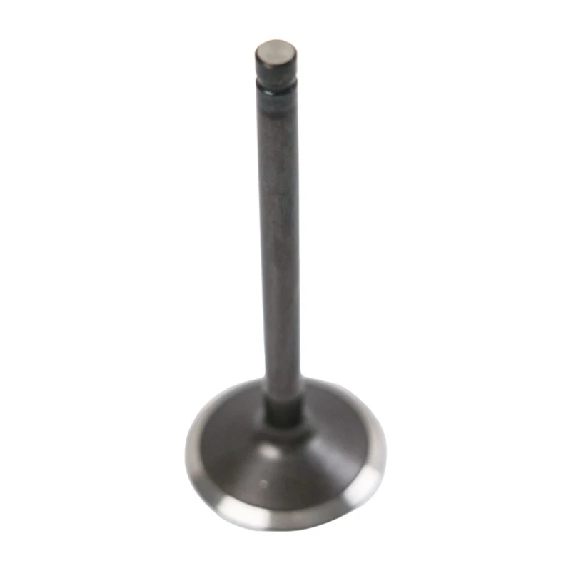 119717-11101 Yanmar Intake Valve for Yanmar 3TNV76-DRE Engine