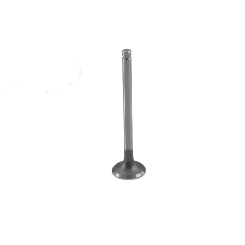 SA471B-04031 Lister Petter Exhaust Valve for Lister Petter SA423G1