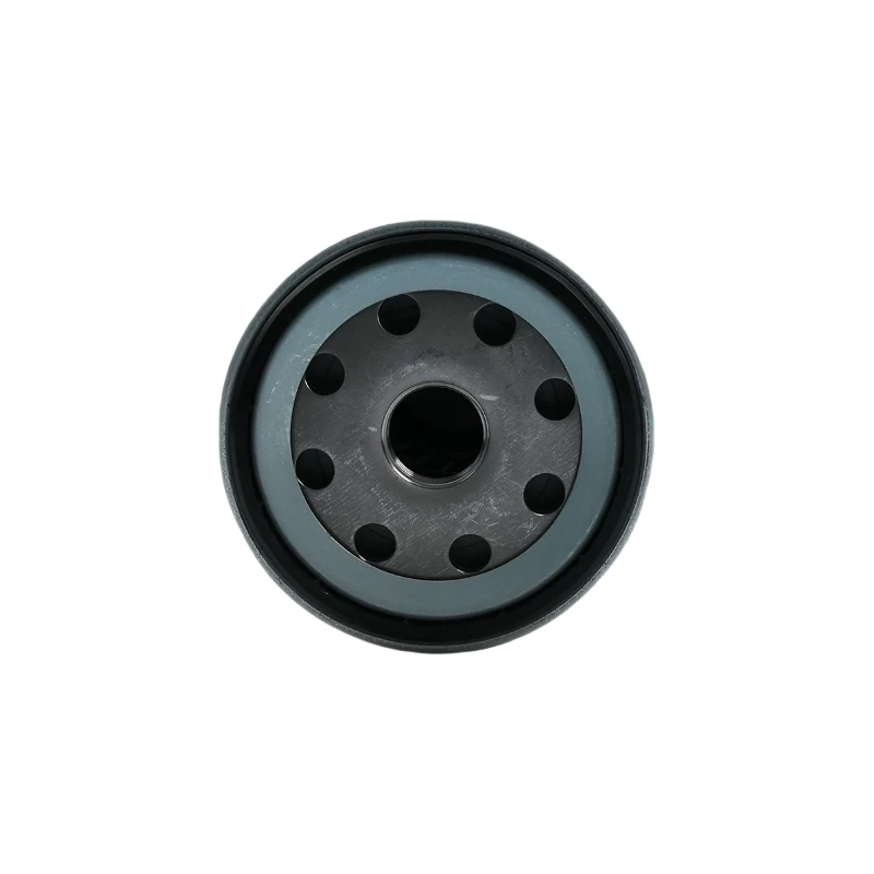 1000053557 Weichai Fuel Diesel Filters for Weichai WP13D510E311