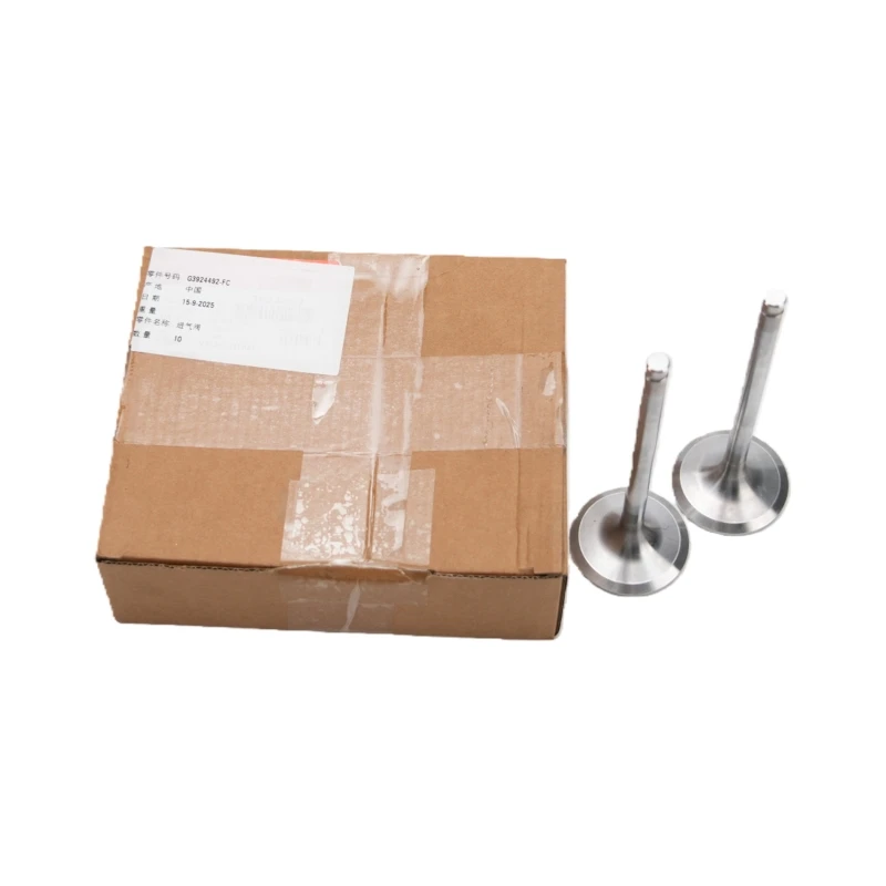 3924492 Cummins Intake Valve for Cummins 6C8.3, C GAS PLUS CM556