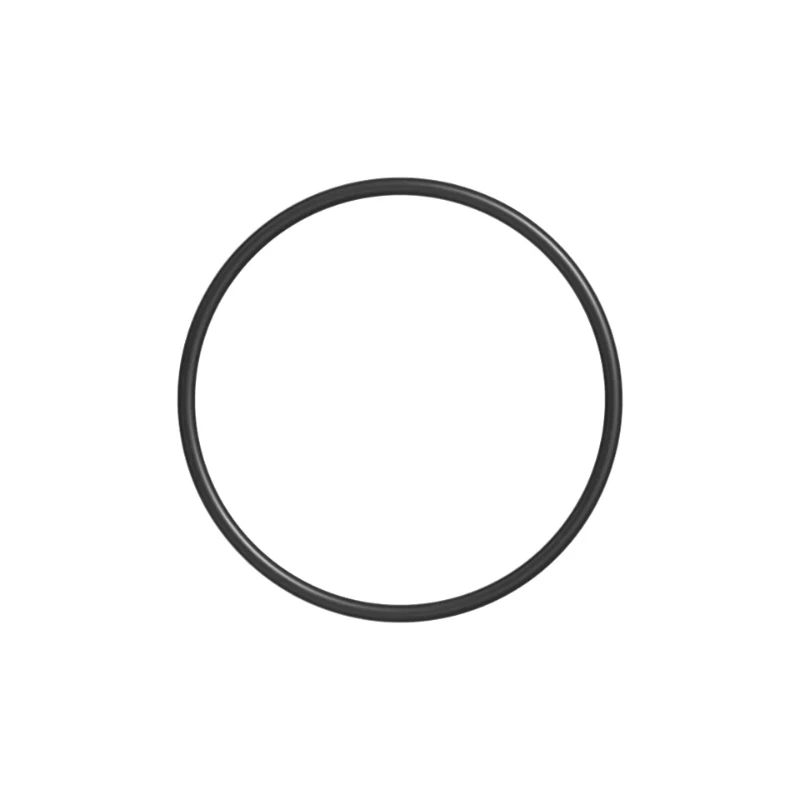 Cummins 4998542 O-Ring Seal | High-Integrity Sealing for KTA50-G3