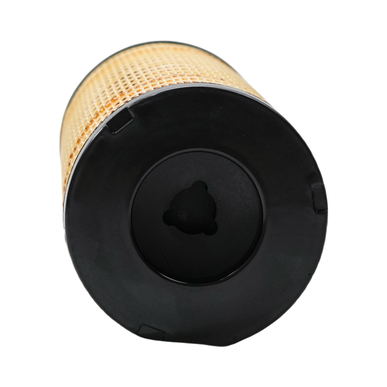 CH10930 Fuel Filter with O-ring MW00CH10930 Compatible with Perkins Engine FGA06-FGA19,2306TAG1/TAG2/TAG3,2806TAG1/TAG2/TAG3 etc